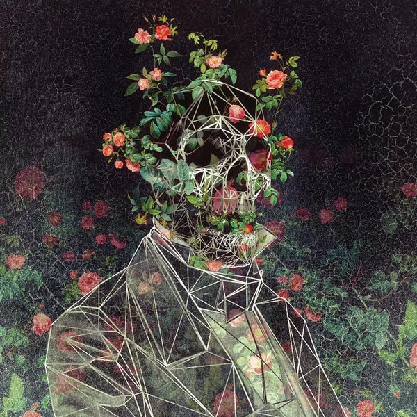 Skeletons: Mr. Cage by Ali Gulec