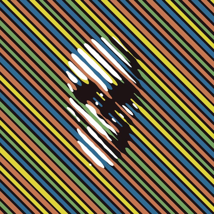 Stripe Skull by Ali Gulec wall art