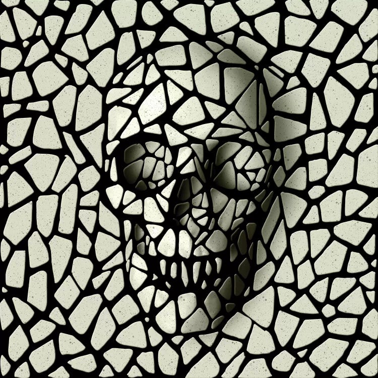 Mosaic Skull Mono