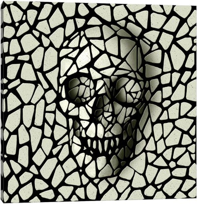 Mosaic Skull Mono Canvas Art Print - Ali Gulec