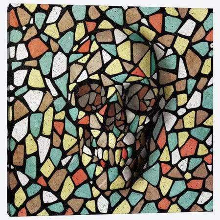 Mosaic Skull Color Canvas Print #AGC126} by Ali Gulec Canvas Art