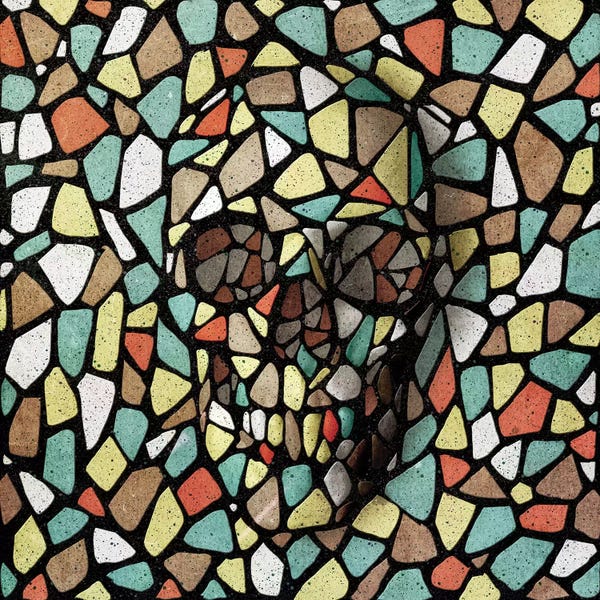 Skulls: Mosaic Skull Color by Ali Gulec
