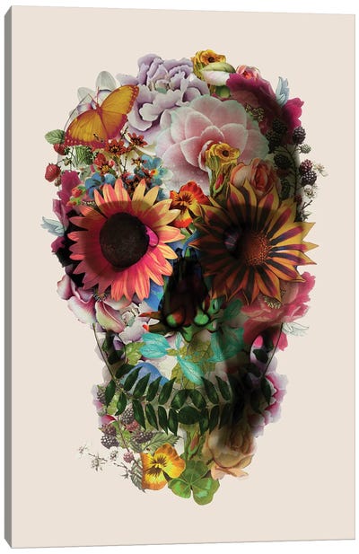 Skull 2 Beige Canvas Art Print - Horror Art