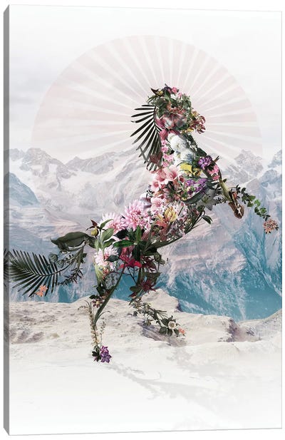 Floral Horse Canvas Art Print - Ali Gulec