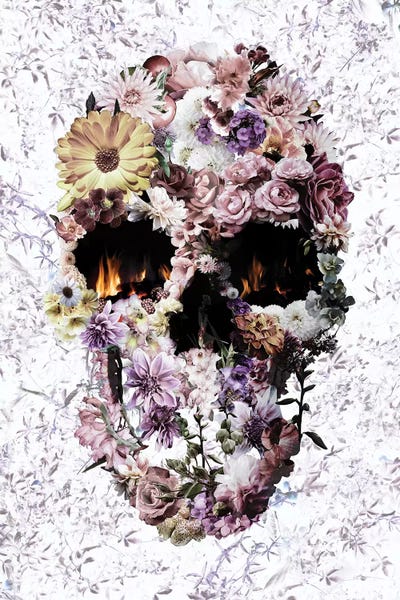 Skulls: Upland Skull by Ali Gulec