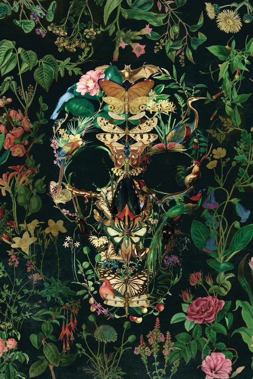 Papillion Skull Portrait by Ali Gulec wall art