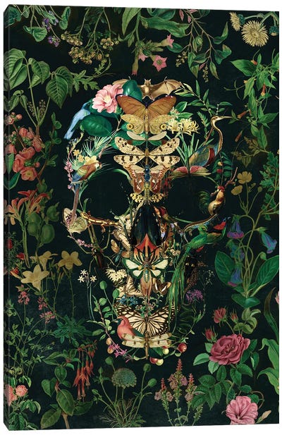 Papillion Skull Portrait Canvas Art Print - Ali Gulec