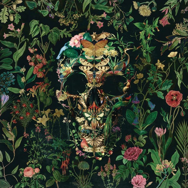 Skulls: Papillion Skull Square by Ali Gulec
