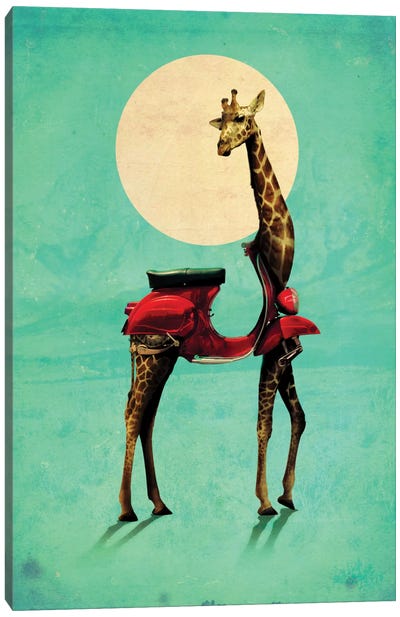 Giraffe Gb #2 Canvas Art Print - Ali Gulec