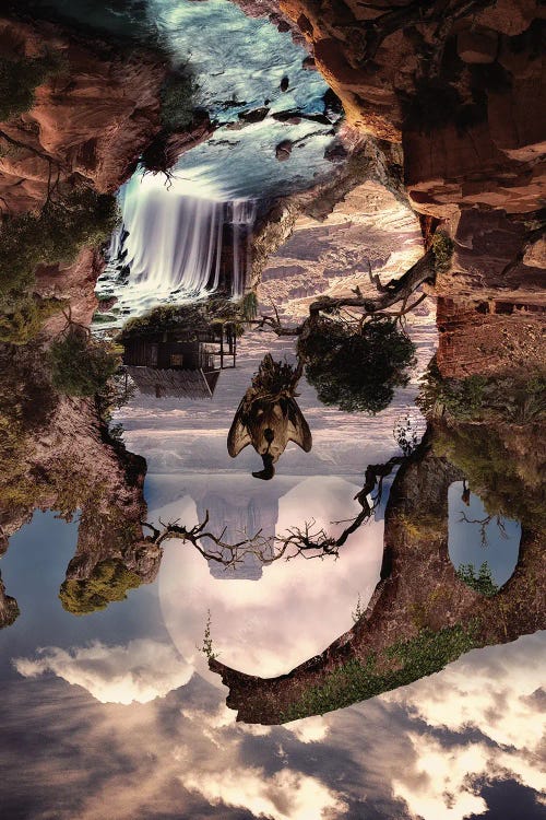 Canyon Skull by Ali Gulec wall art