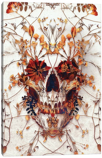 Delicate Skull Canvas Art Print - Ali Gulec