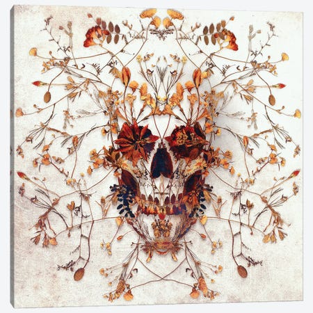 Delicate Skull Square Canvas Print #AGC149} by Ali Gulec Canvas Art Print