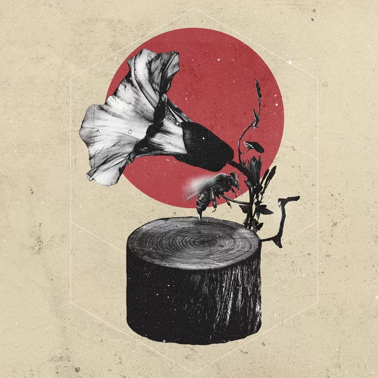 Gramophone by Ali Gulec wall art