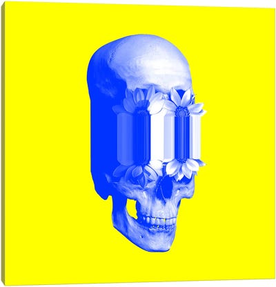Eccentric Skull Canvas Art Print - Glitch Effect