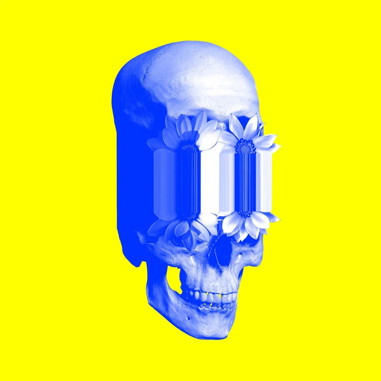 Eccentric Skull