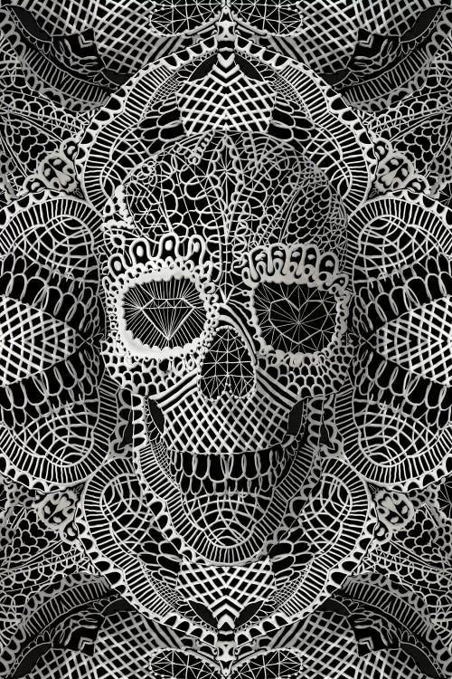 Lace Skull by Ali Gulec wall art