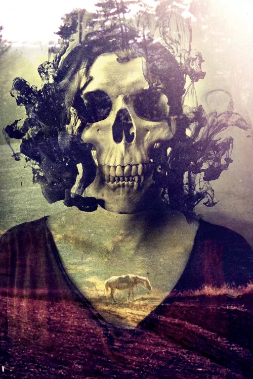 Miss Skull by Ali Gulec wall art