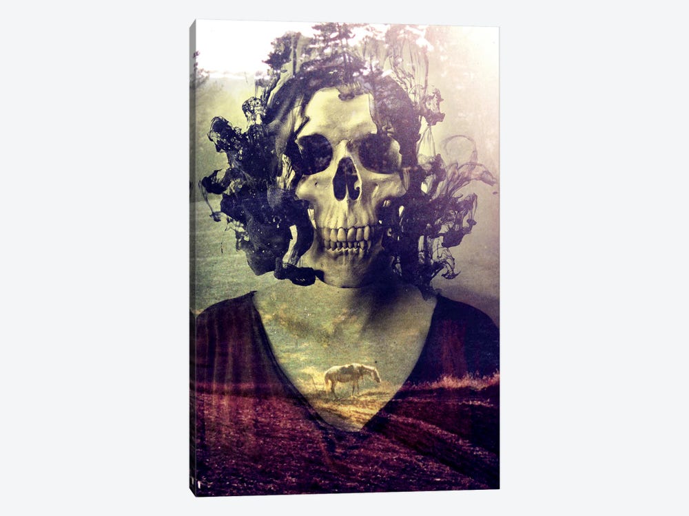 Miss Skull by Ali Gulec 1-piece Canvas Art