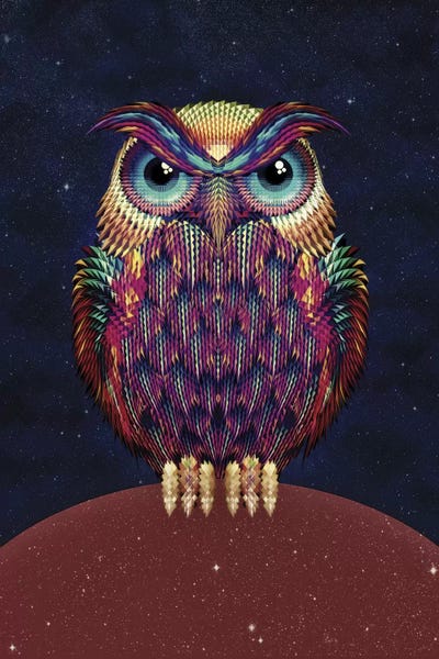 Owl #2 Art Print By Ali Gulec | ICanvas