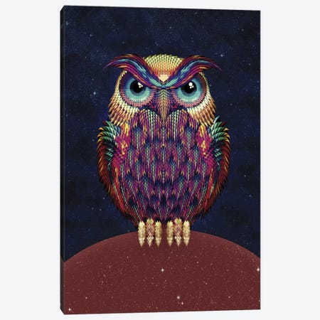 Owl #2 Canvas Print #AGC26} by Ali Gulec Canvas Artwork