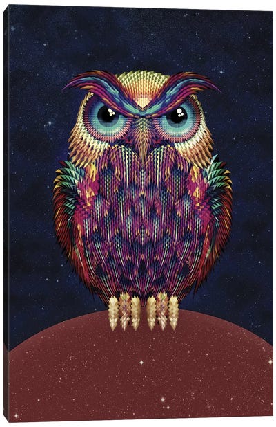 Owl #2 Canvas Art Print - Glitch Effect