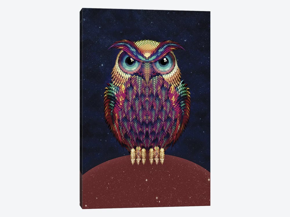 Owl #2 by Ali Gulec 1-piece Canvas Art