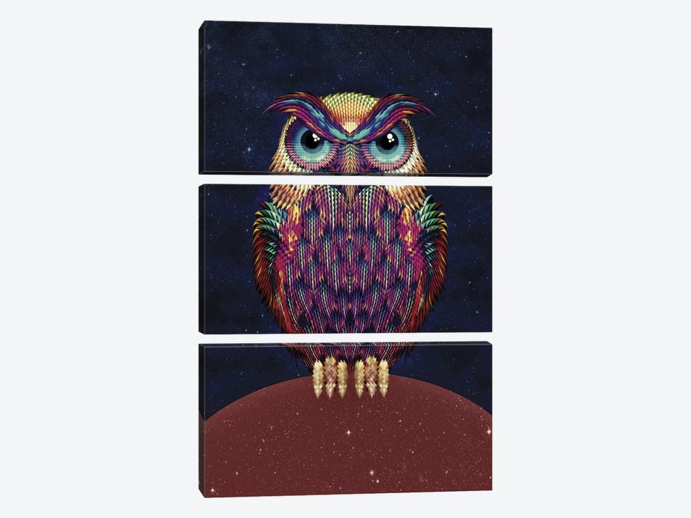 Owl #2 by Ali Gulec 3-piece Canvas Art