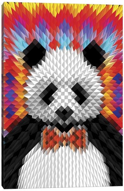 Panda Canvas Art Print - Ali Gulec