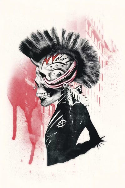 Skulls: Punk by Ali Gulec
