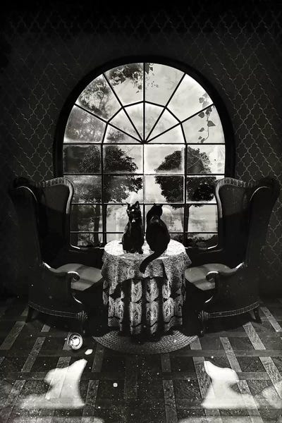 Edgy Bedroom: Room Skull B/W by Ali Gulec