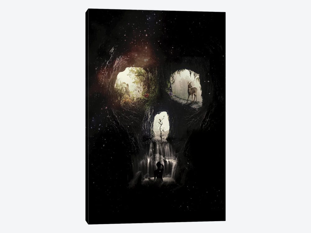 Cave Skull by Ali Gulec 1-piece Canvas Print