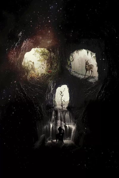 Edgy Bedroom: Cave Skull by Ali Gulec