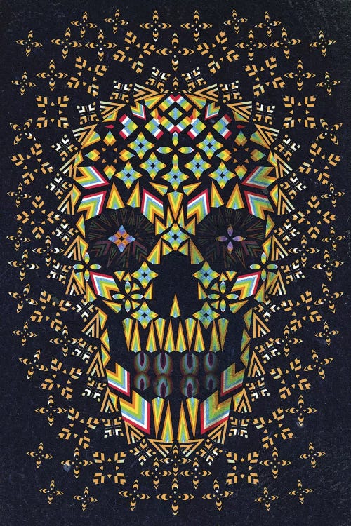 Skull #6 by Ali Gulec wall art