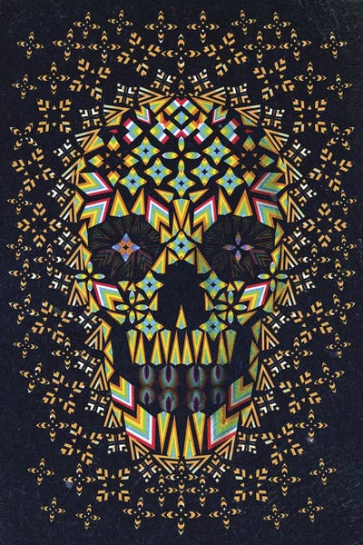 Skulls: Skull #6 by Ali Gulec