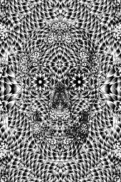 Skull VII