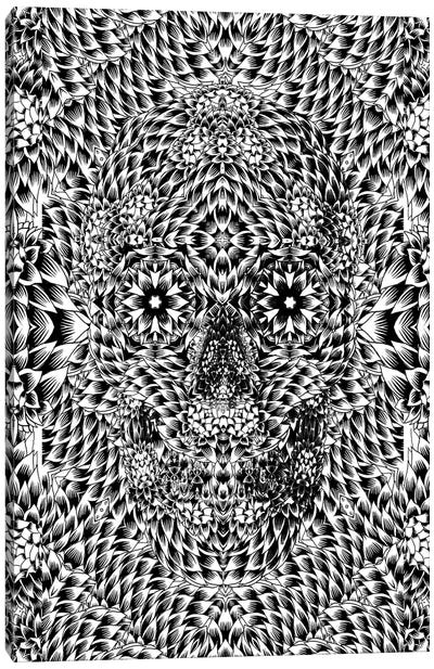 Skull VII Canvas Art Print - Día de los Muertos Art