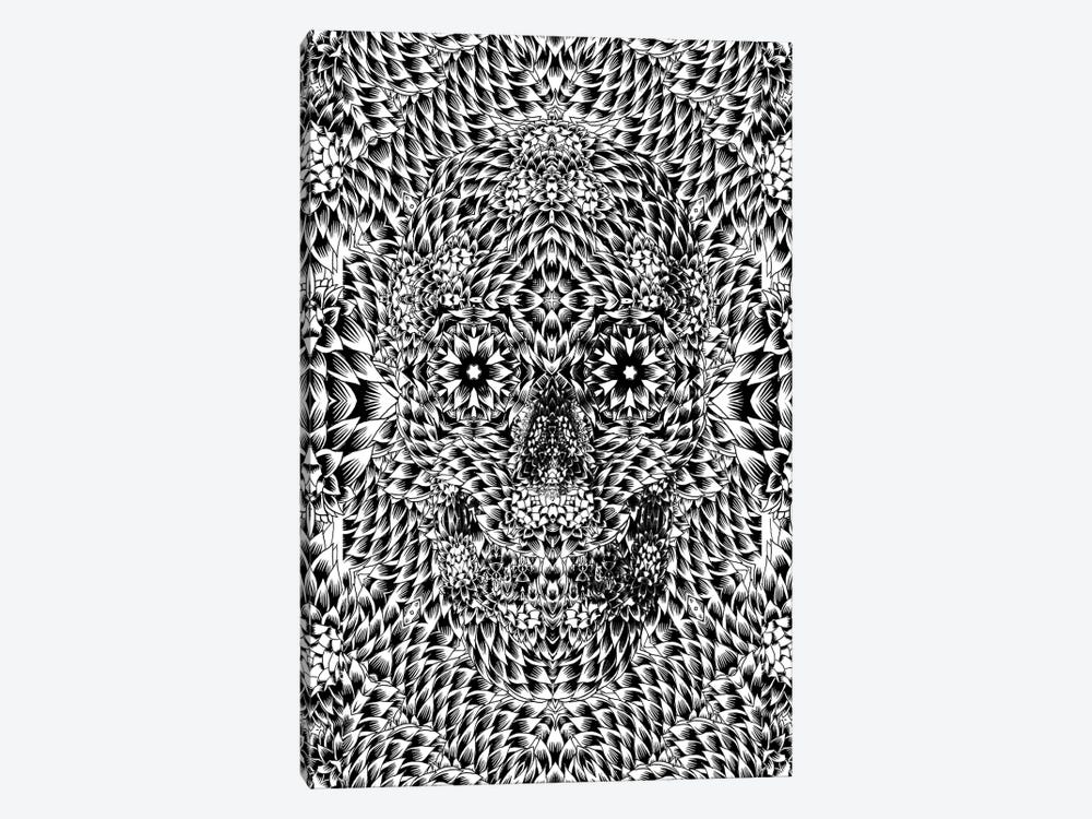 Skull VII by Ali Gulec 1-piece Canvas Print