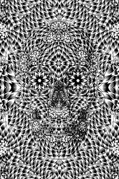 Psychedelic: Skull VII by Ali Gulec