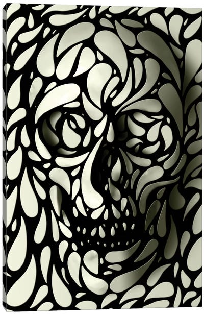Skull #4 Canvas Art Print - Fantasy, Horror & Sci-Fi Art