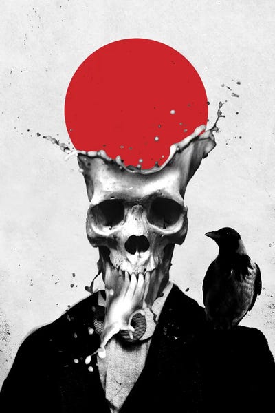 Skulls: Splash Skull by Ali Gulec