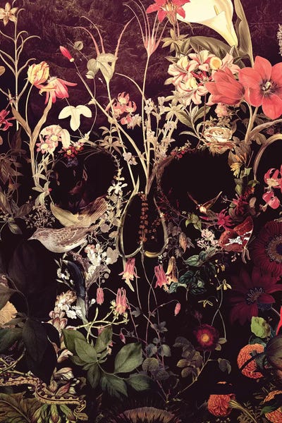 Skulls: Bloom by Ali Gulec