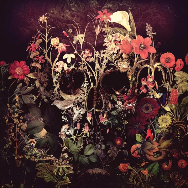 Alternative Décor: Bloom, Square by Ali Gulec