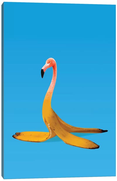 Flamingo Banana Canvas Art Print - Banana Art