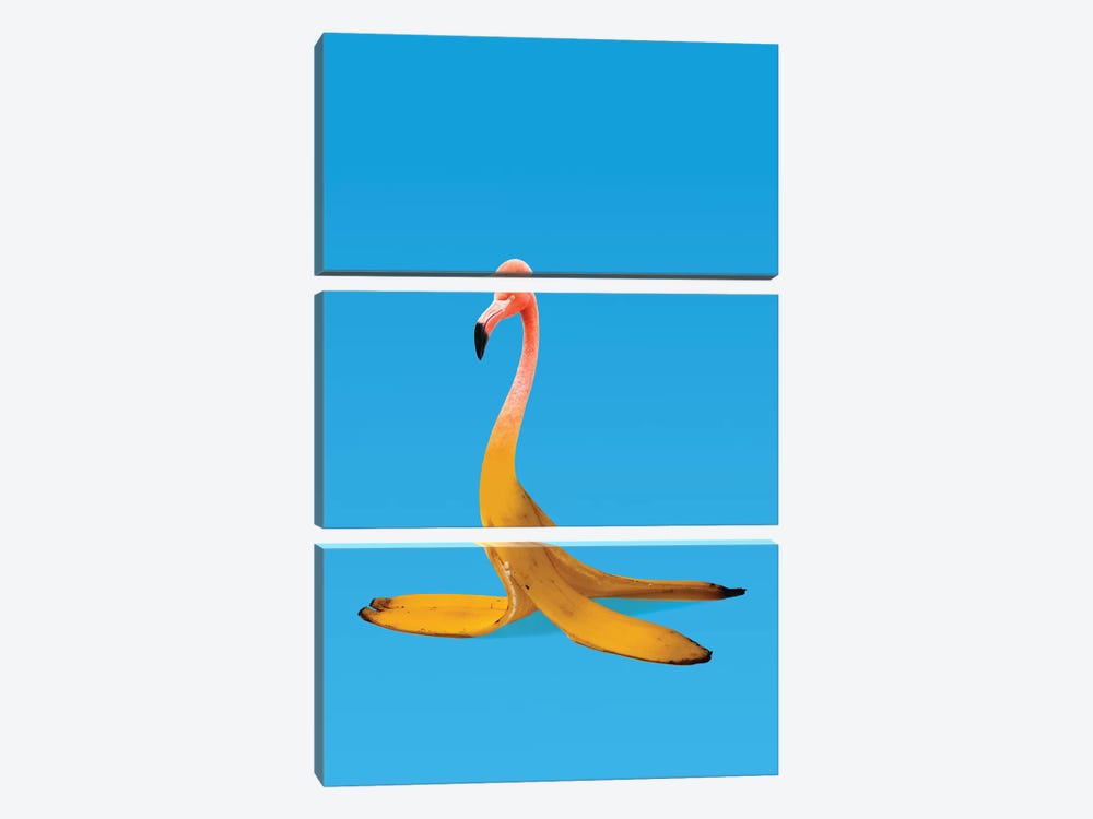 Flamingo Banana by Ali Gulec 3-piece Canvas Art