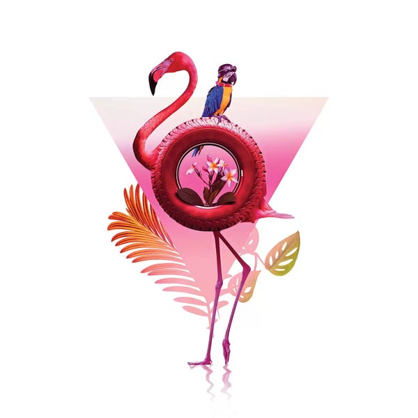 Flamingos: Flamingo Ride by Ali Gulec