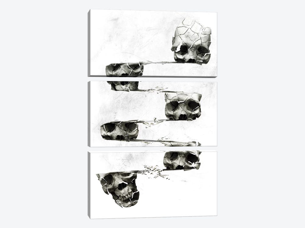 Distorted Skull by Ali Gulec 3-piece Canvas Art