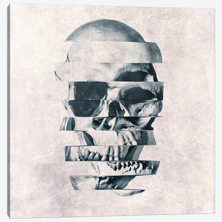 Glitch Skull Mono Canvas Print #AGC62} by Ali Gulec Canvas Art Print