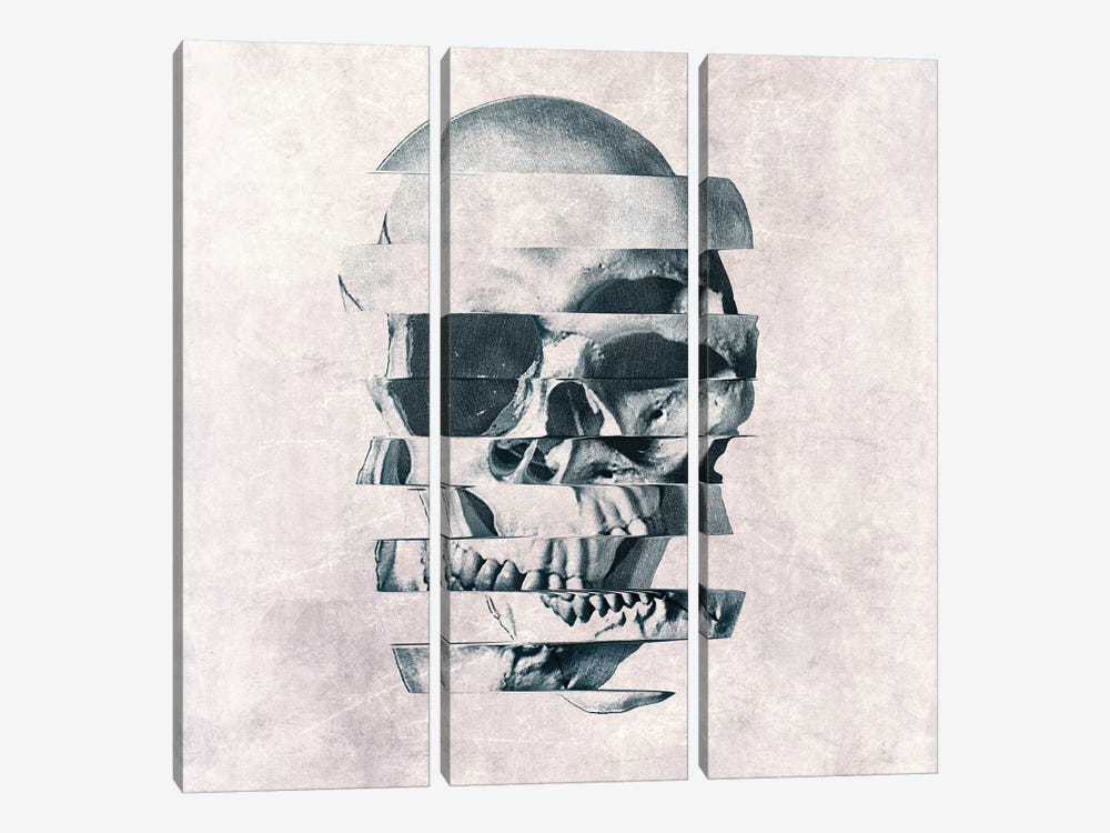 Glitch Skull Mono by Ali Gulec 3-piece Canvas Art