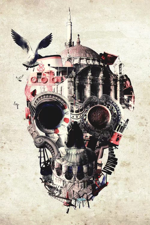 Istanbul Skull I by Ali Gulec wall art