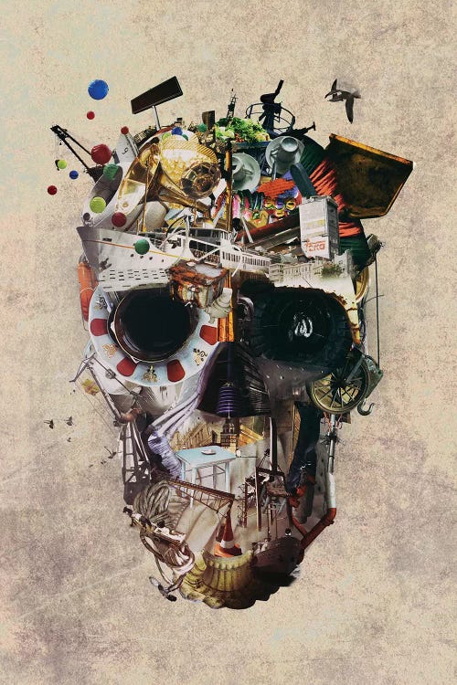 Istanbul Skull II by Ali Gulec wall art